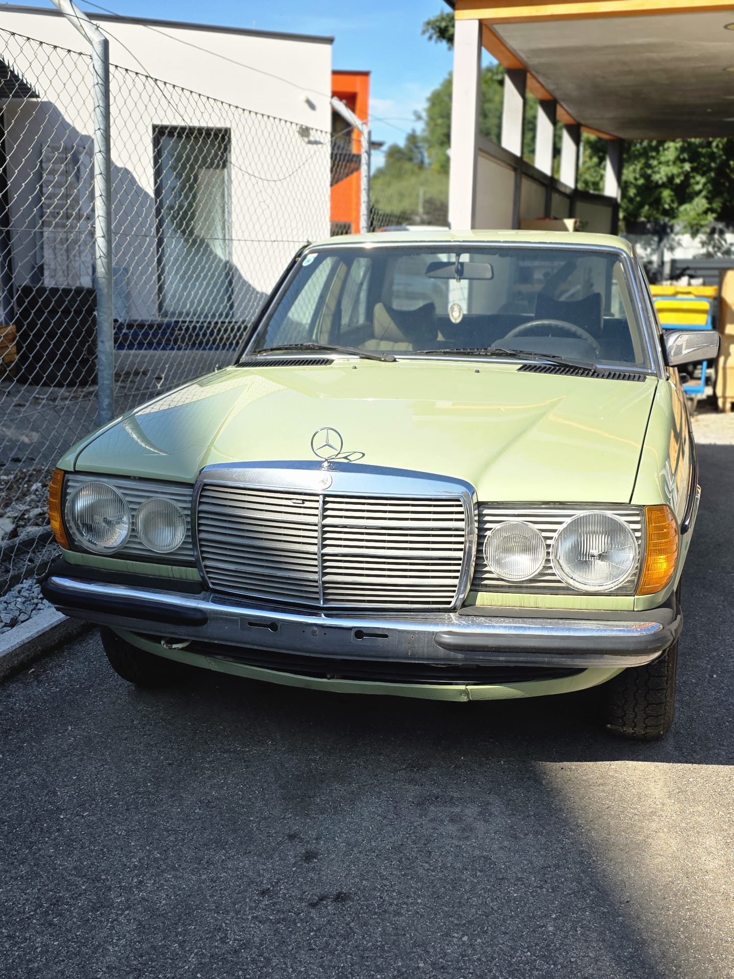 Mercedes Klassiker grün-weiß Front