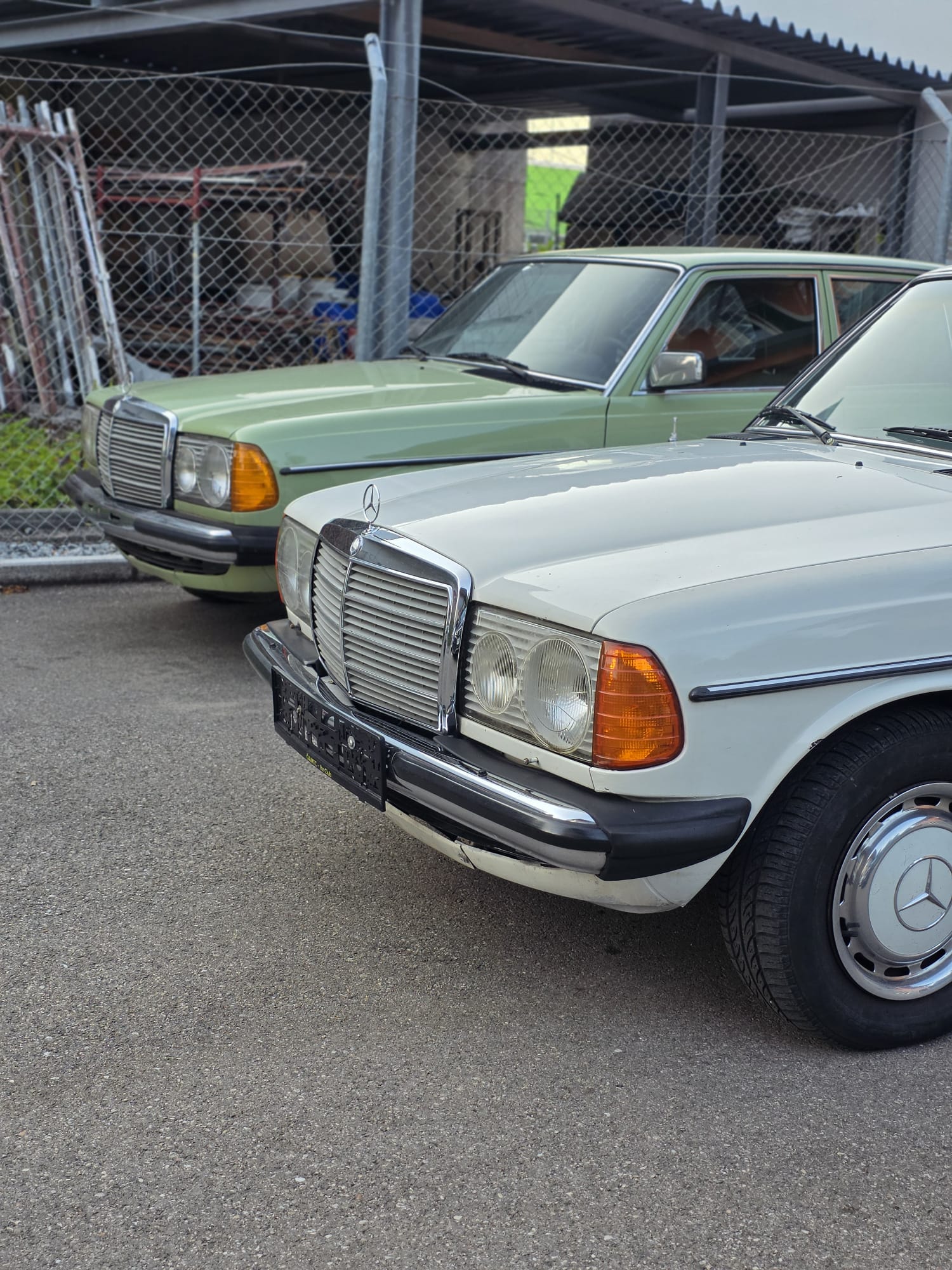 Mercedes Klassiker grün-weiß Seite